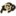 Favicon for cubuffclub.com