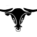Favicon for www.earnhardthyundai.com